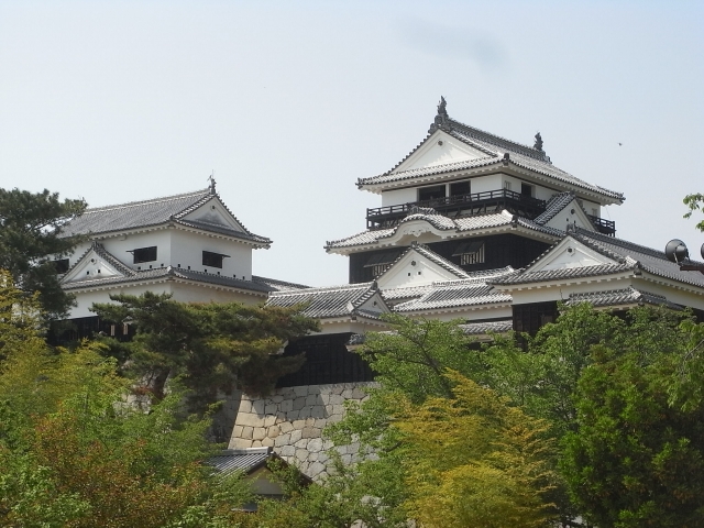 松山城の写真